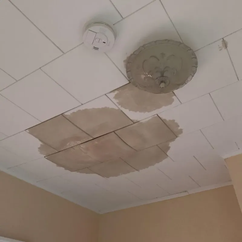 Ceiling Water Damage Repair in Travis County, TX