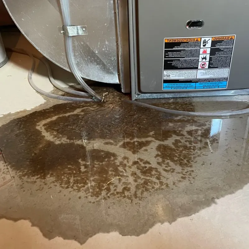 Pipe Burst and Leak Restoration in Travis County, TX