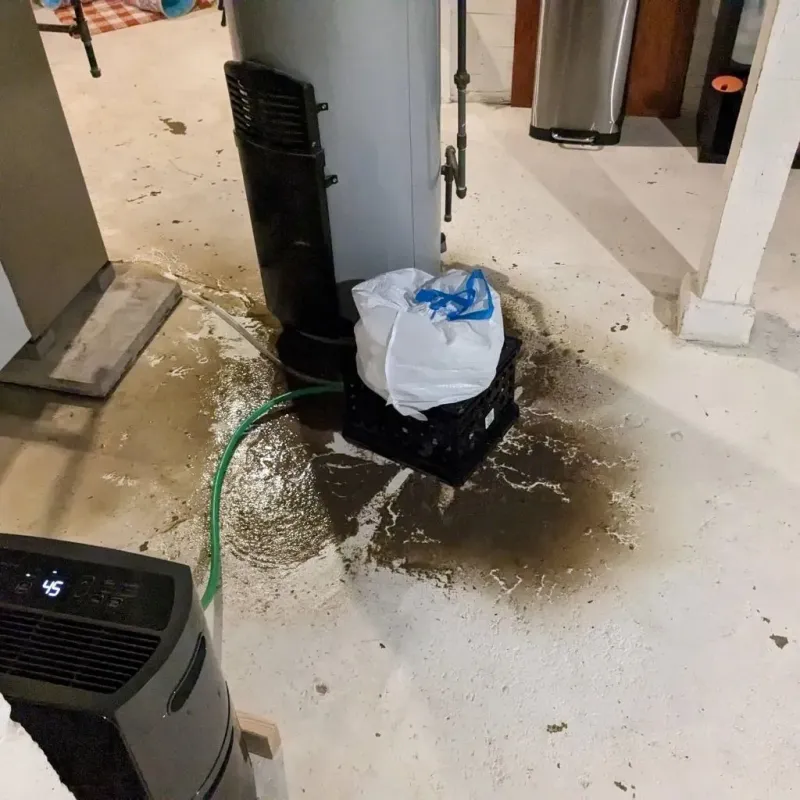 Sewage Backup Cleanup Service in Travis County, TX